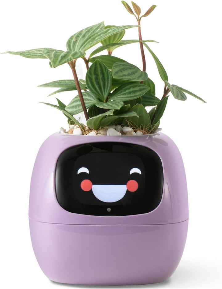 Smart pet Plant Robot Guidance on Plant Care with Emojis