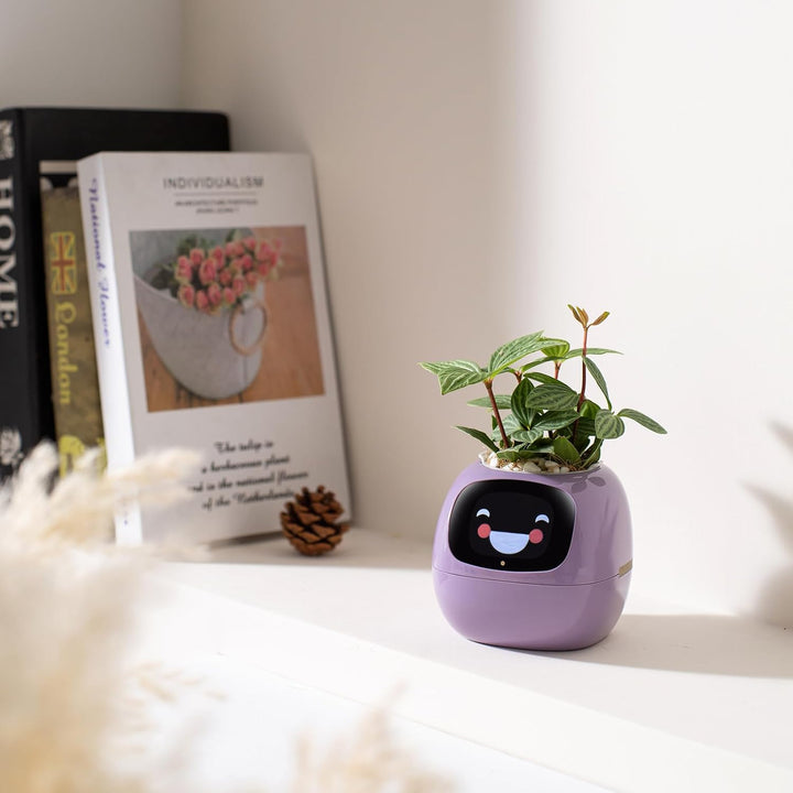 Smart pet Plant Robot Guidance on Plant Care with Emojis