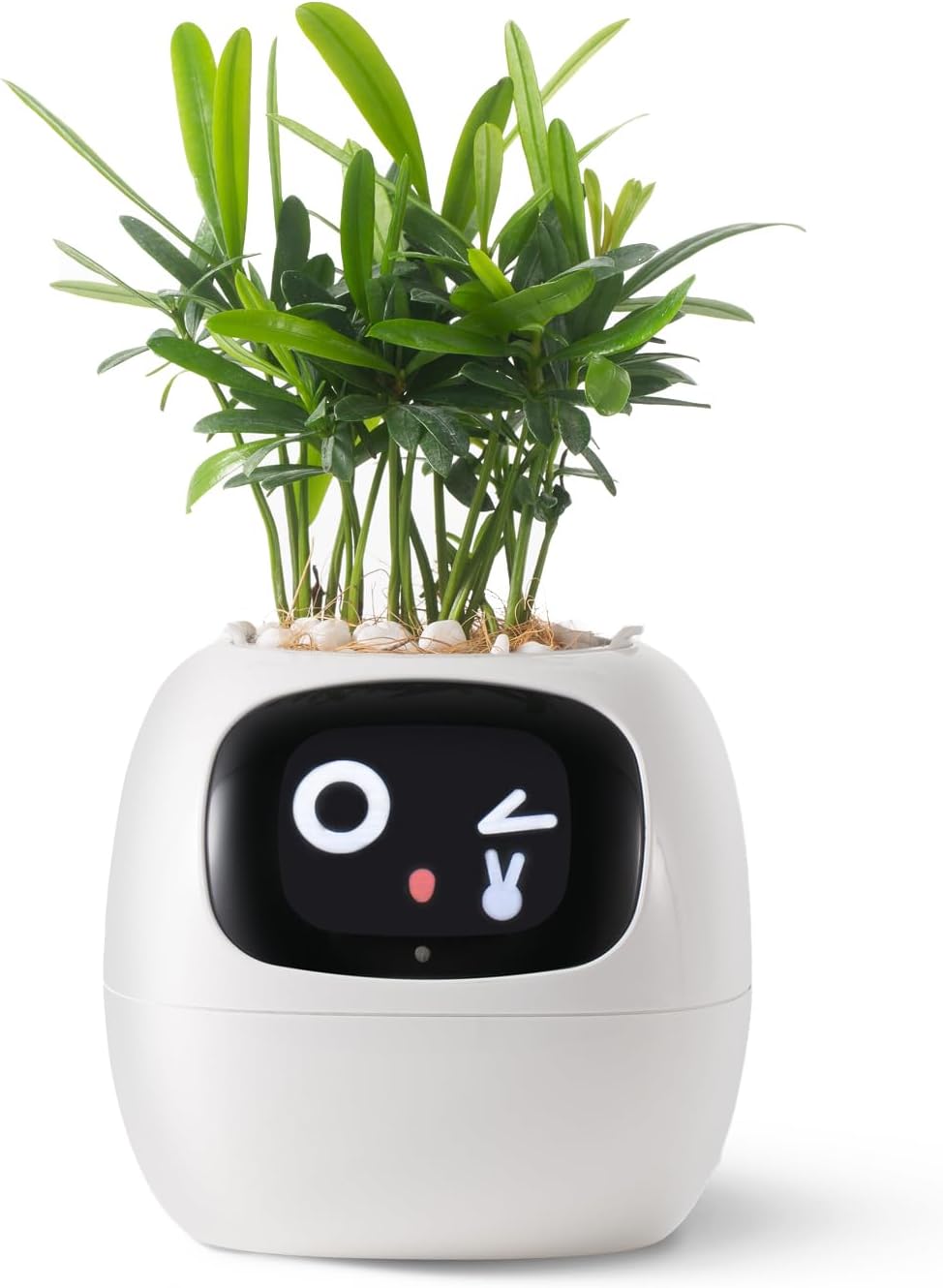 Smart pet Plant Robot Guidance on Plant Care with Emojis