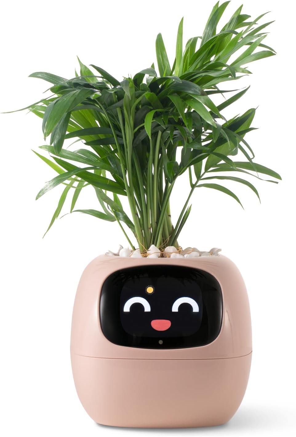 Smart pet Plant Robot Guidance on Plant Care with Emojis